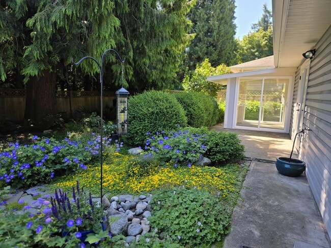 Building Photo - 266 Boundary Bay Rd