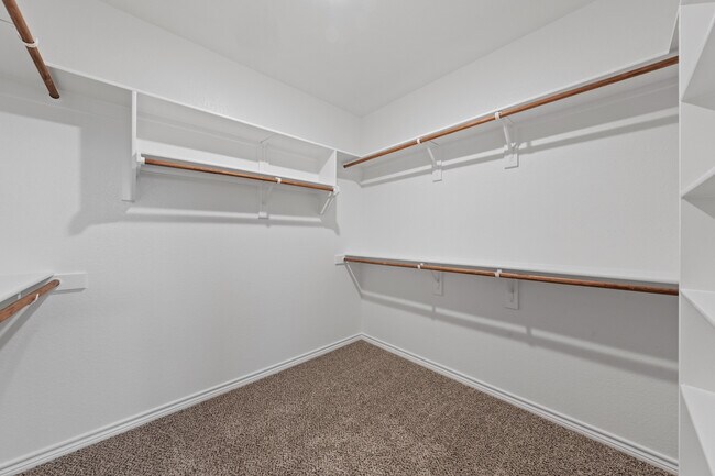 Building Photo - 7310 Caladium Dr