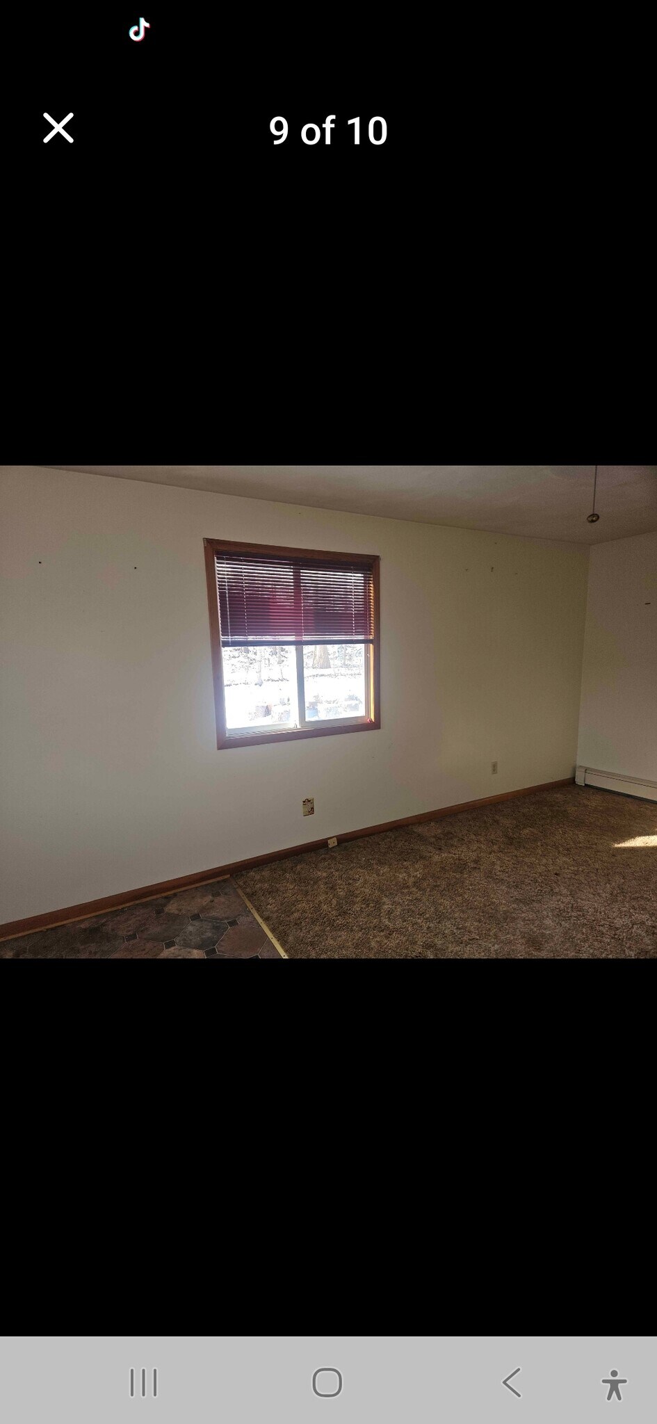 Building Photo - 317 Norton Ave