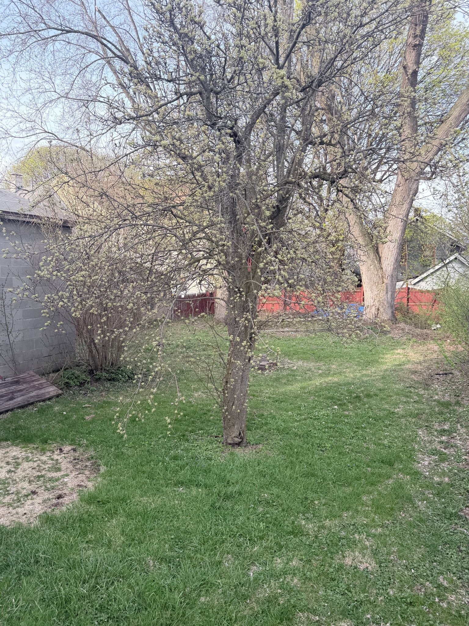 Building Photo - 1022 Avery Ave