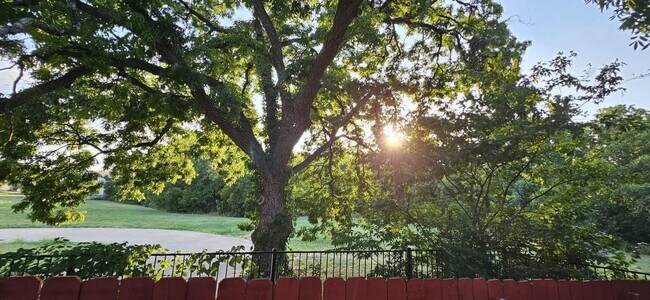 Building Photo - Amazing 4 b+2.5b Single family