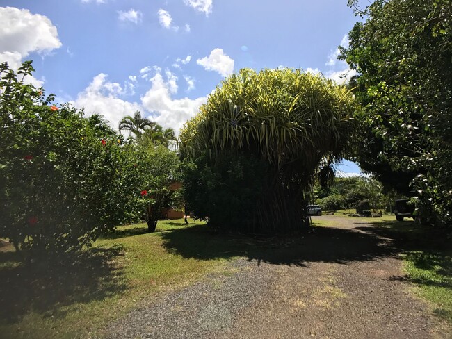 Building Photo - A Modernist Tropical Haven on Maui’s North...