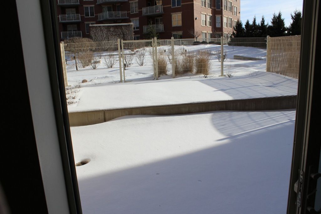 Private Patio with garden option - 333 W Mifflin St