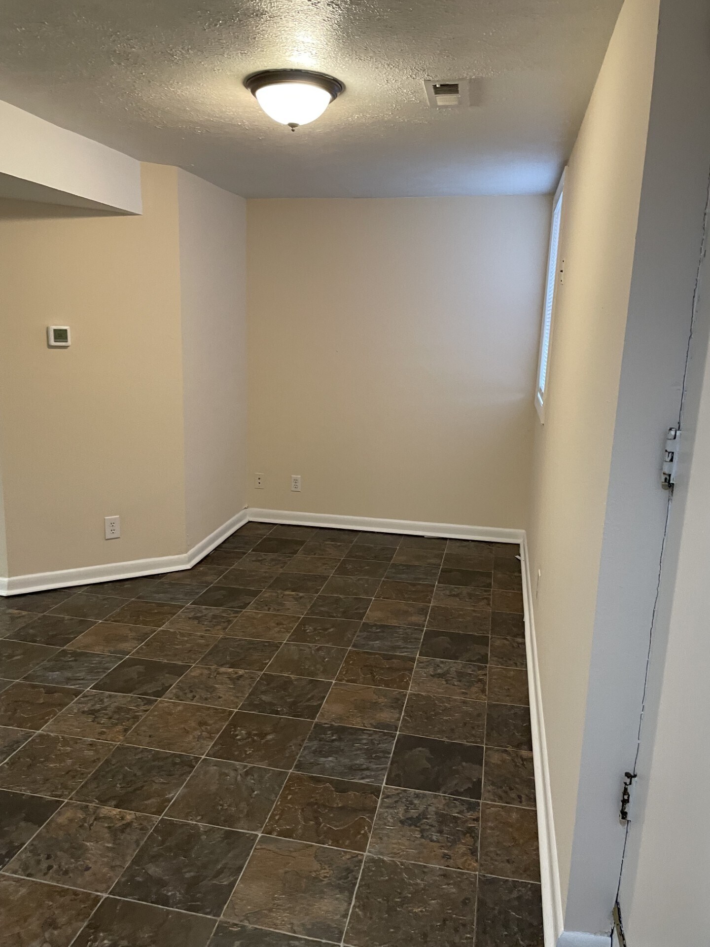 Lower Level - 310 Galvin Rd N