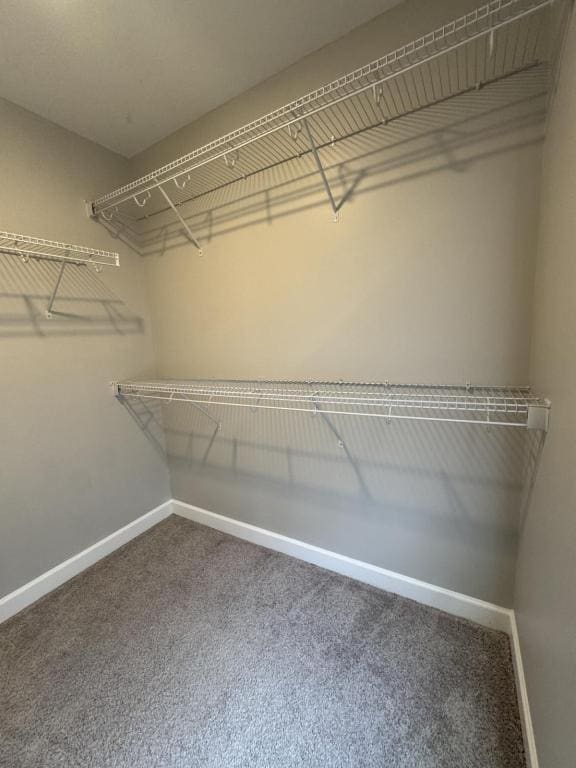 Building Photo - 244 Mansfield Dr