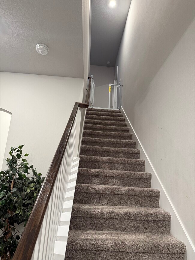 Building Photo - 16409 Lucia Gardens Ln