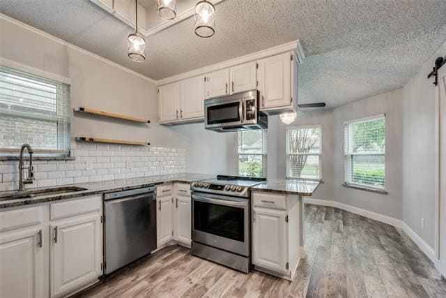 Building Photo - 1002 Canary Ln