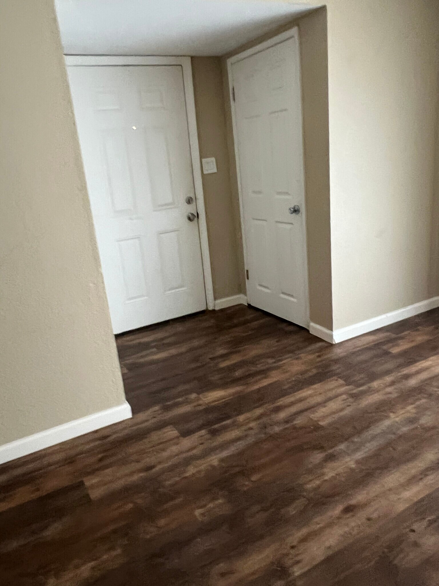 front door, closet door and entry to garage - 5287 Snow Dr