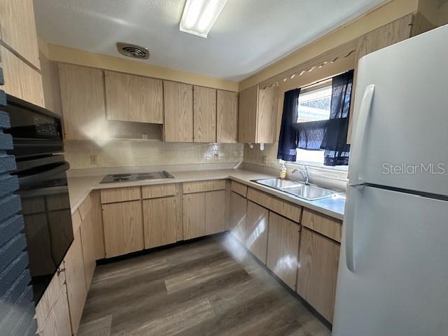 Building Photo - 803 Tangerine St