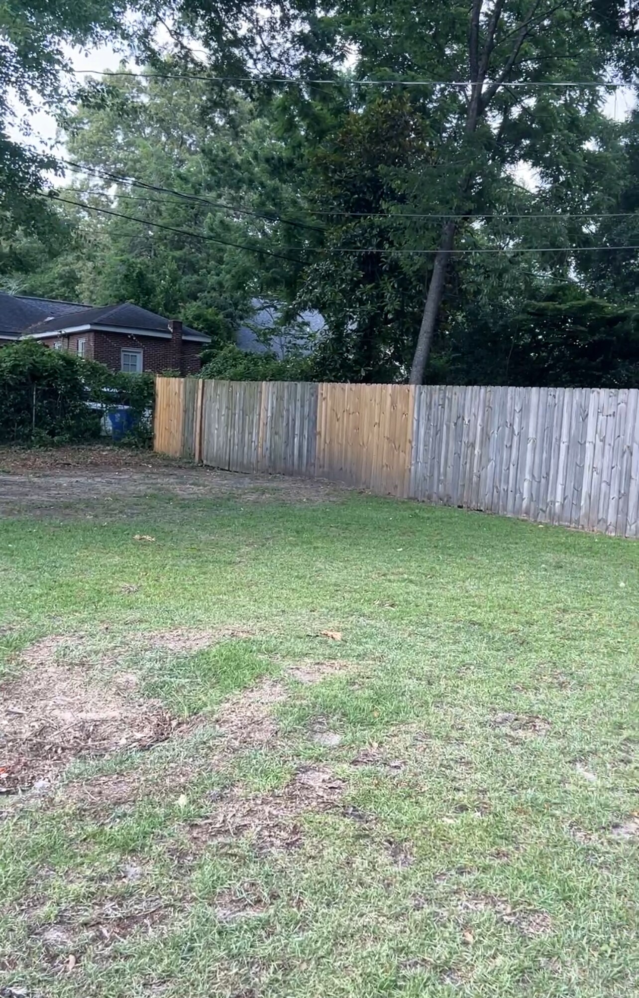 Lawn area and fenced side yard - 2603 Kiawah Ave