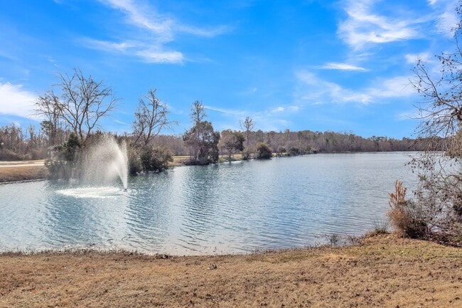 Building Photo - Large fenced yard corner lot - 4 Bedroom home in Moss Grove Plantation