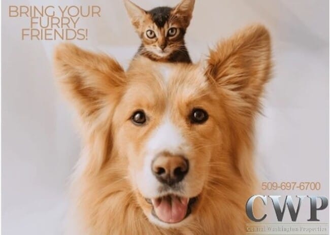 Building Photo - Sil1000(CWP)