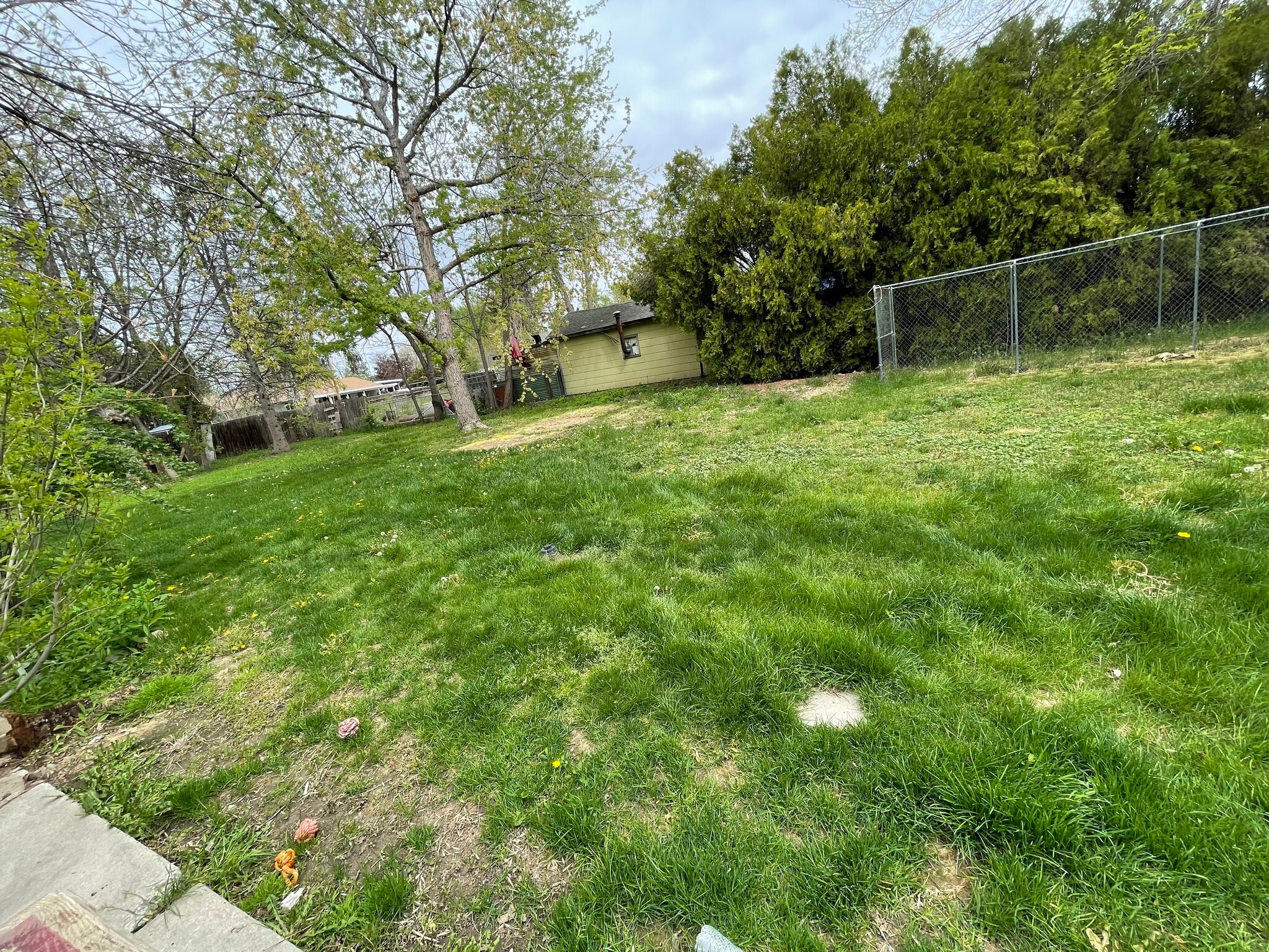 yard - 419 S Garden St