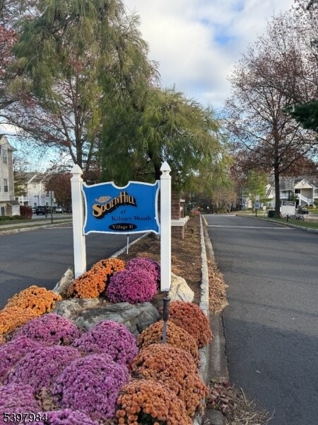 Primary Photo - 686 Plum Terrace