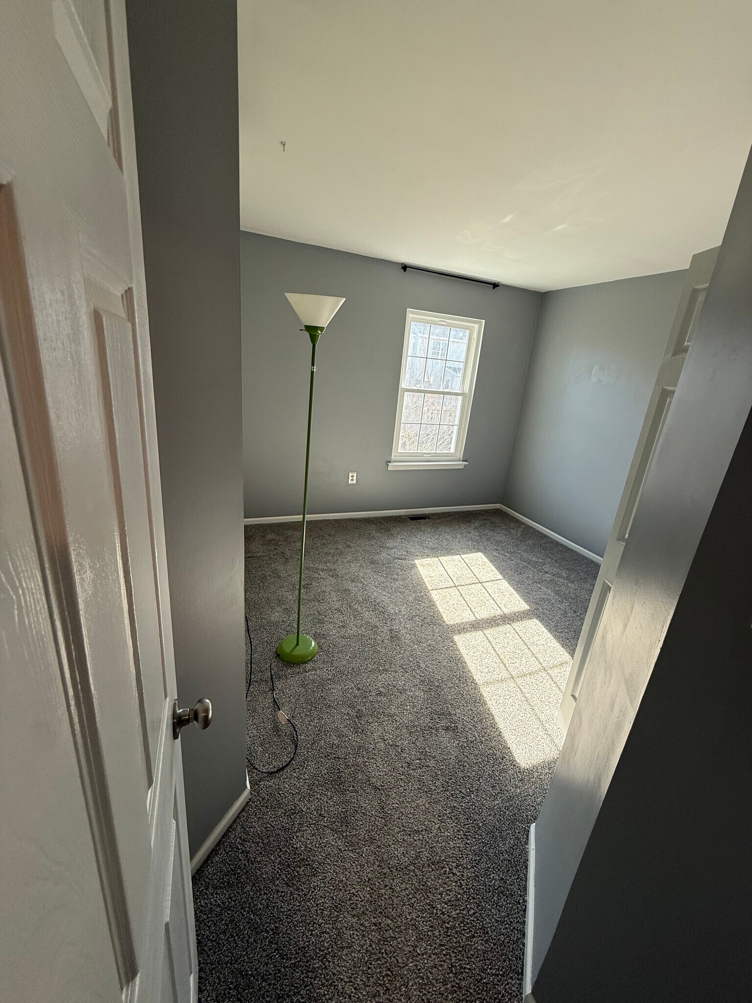 Building Photo - 12 Paynter St