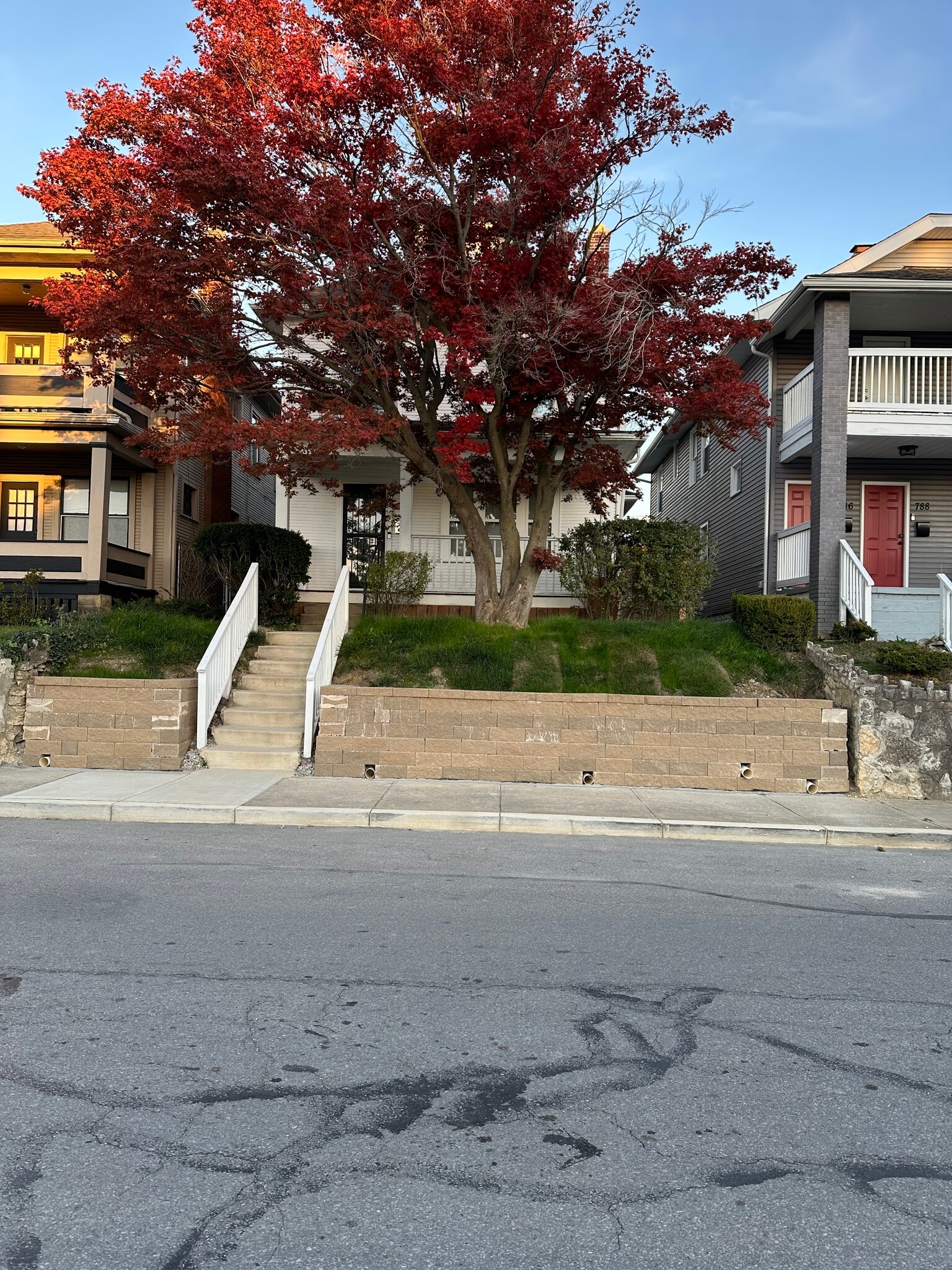 Building Photo - 784 Carpenter St