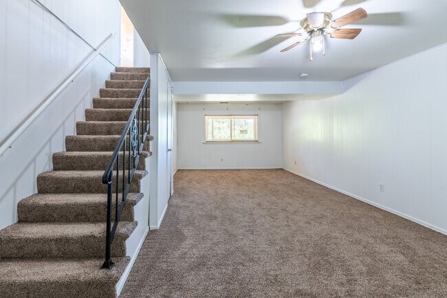 Basement - 1681 Lonedell Rd