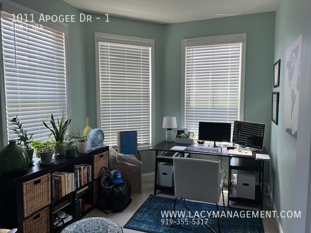 Building Photo - 1011 Apogee Dr