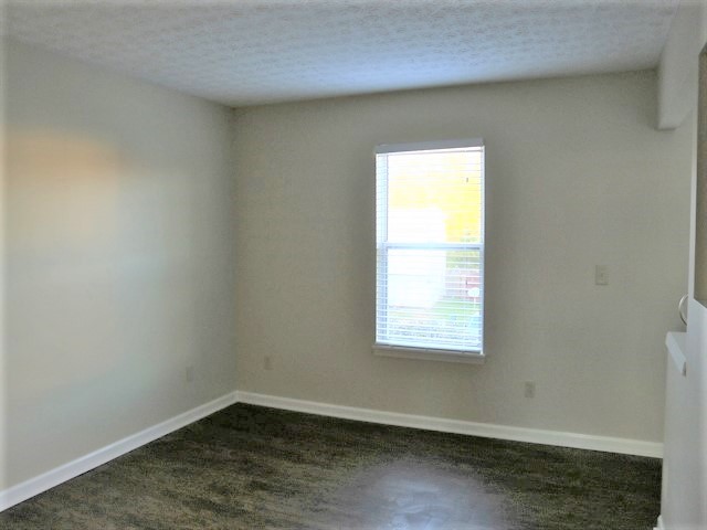 Building Photo - 3559 High Creek Dr