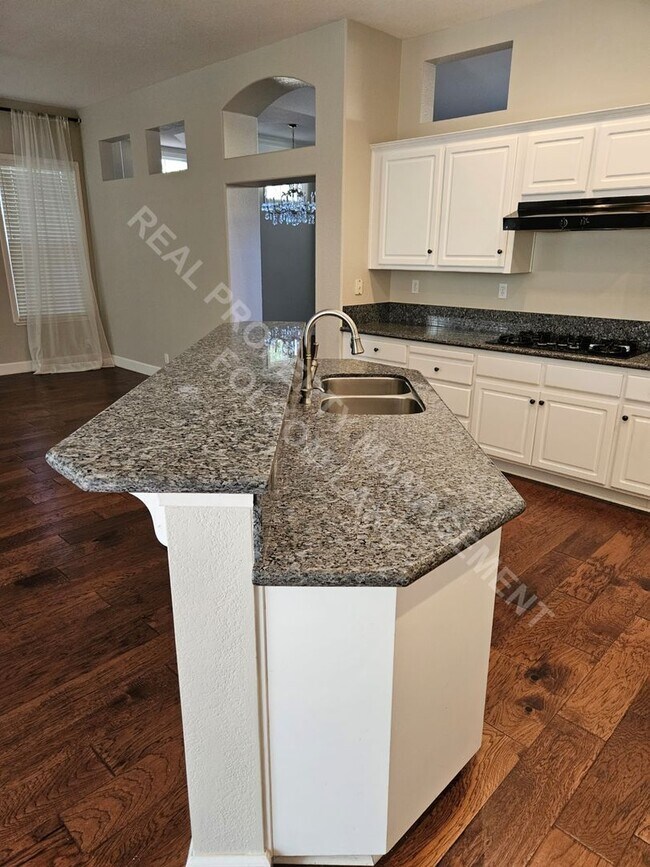 Building Photo - 4-Bedroom Single-Story Home in Briggs Ranch