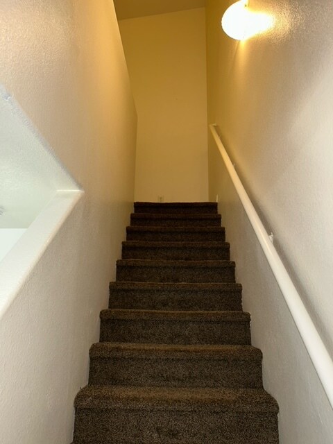 Building Photo - 3520 Glorious Iris Pl