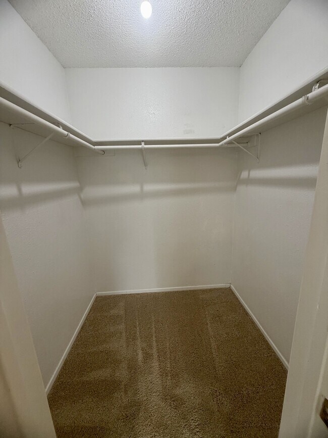 Building Photo - 1707 Honeysuckle Ln