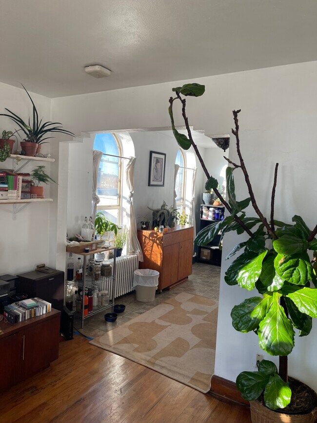 Building Photo - Olympia DT 504