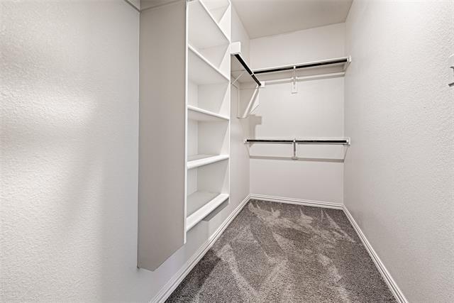 Building Photo - 5513 Brahma Trail