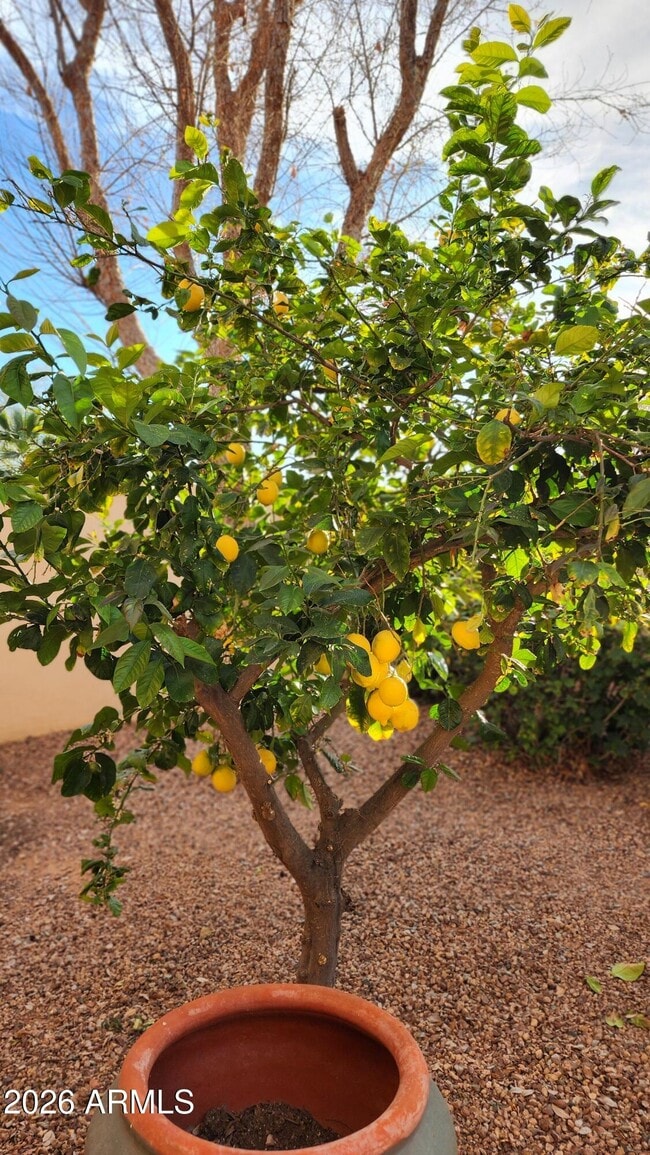 Building Photo - 18970 N Alicante St