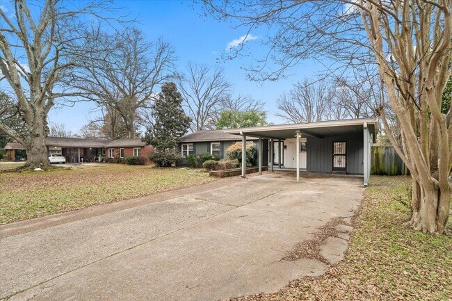 Building Photo - 1073 Ivy Rd