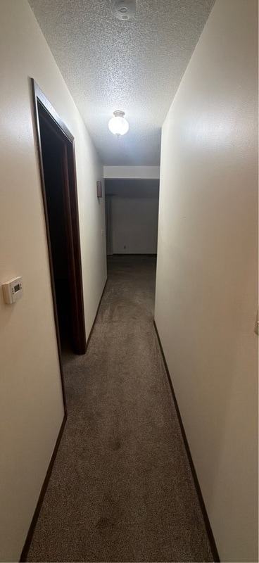 Building Photo - 524 Breezy Point Dr