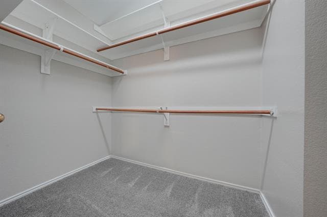 Building Photo - 1405 Cedar Springs Dr