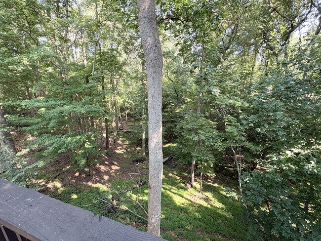 Building Photo - 1511 Harbor Watch Ct