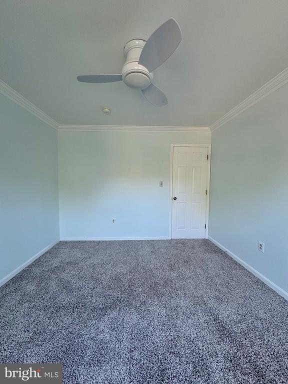 Building Photo - 12102 Snow Shoe Ct
