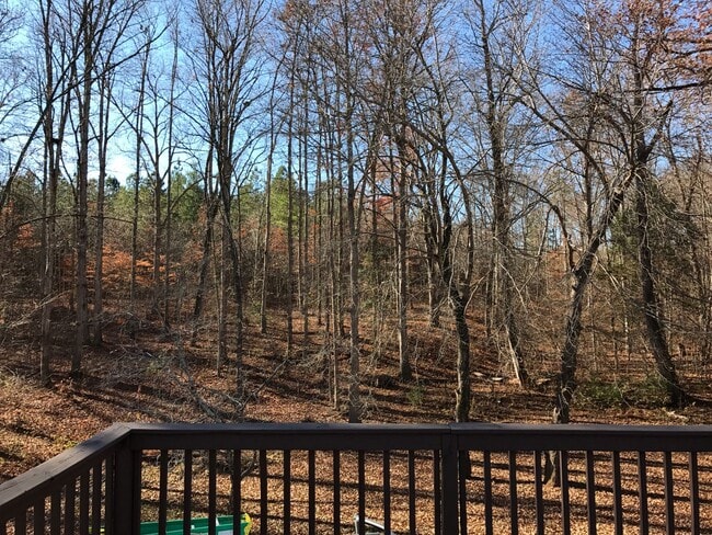 Building Photo - 3BR Home in Maiden on 1.85 Acres