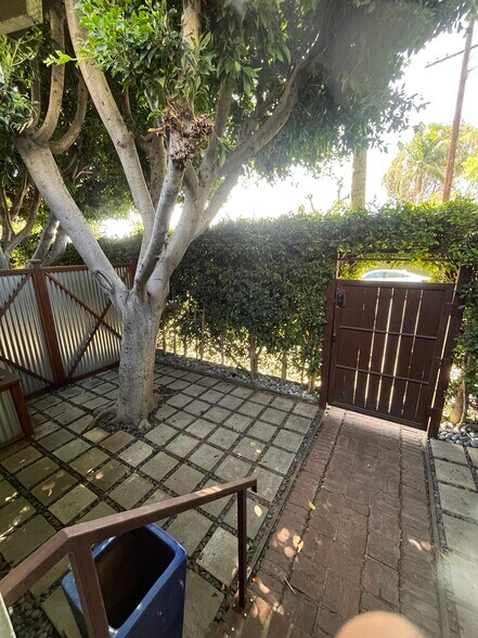 Front yard - 1318 N McCadden Pl