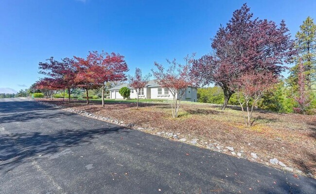 Building Photo - Beautiful 3 bedroom 2 bathroom Home in Beautiful Weimar!