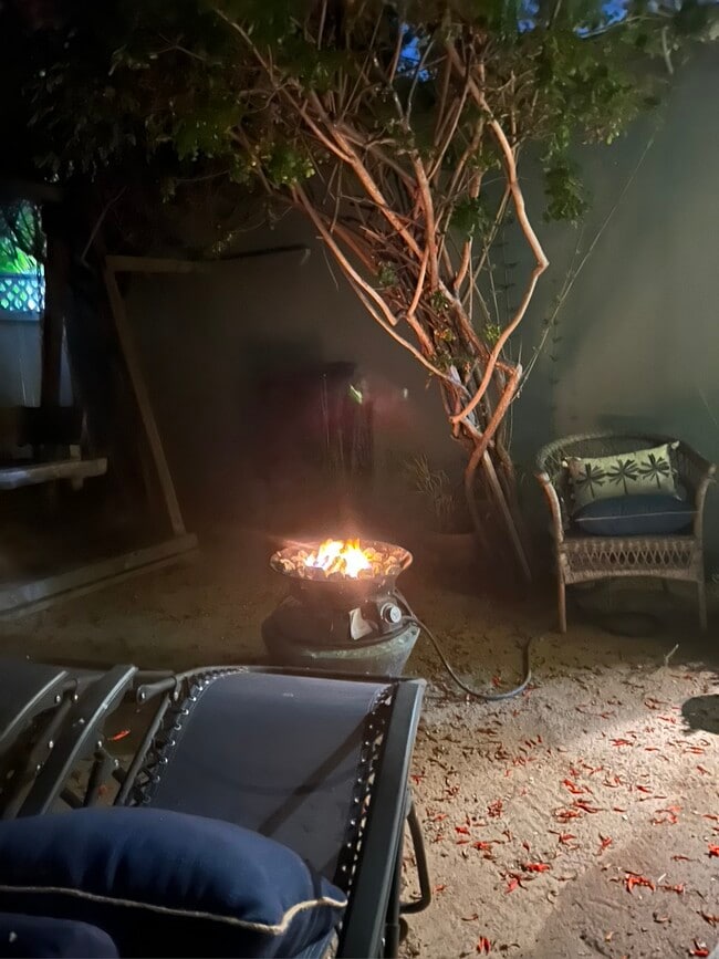 Back Garden Area. Meditative, Moody and Romantic - 1234 22nd St