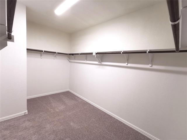 Building Photo - 2403 Lovegrass Ln