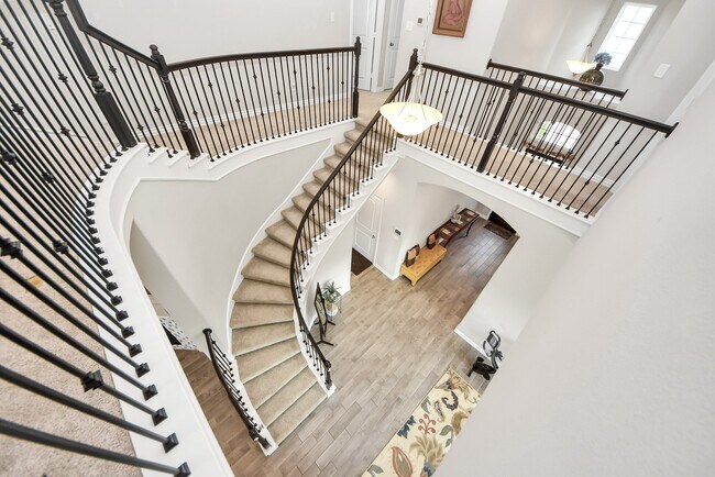 Building Photo - 24003 Cannon Anello Ct