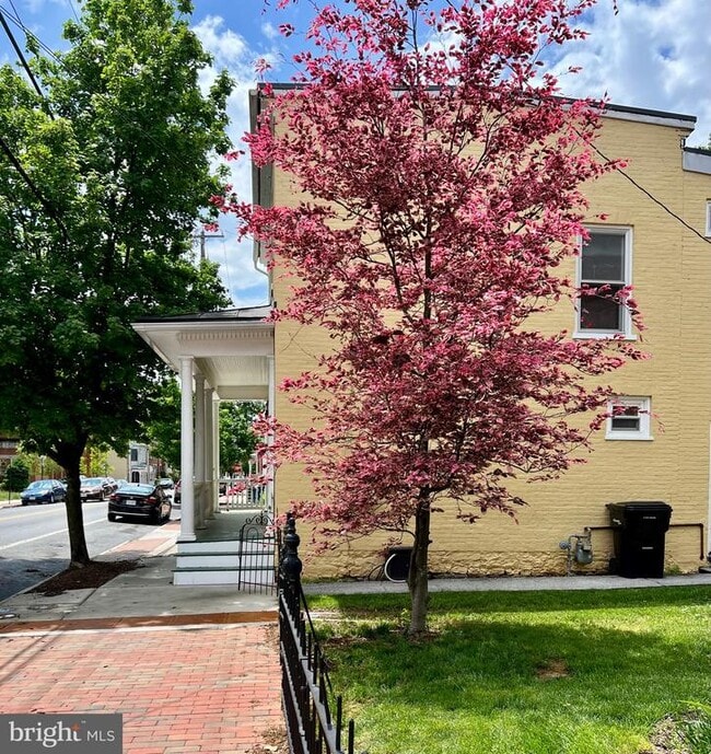 Building Photo - 325 N Braddock St