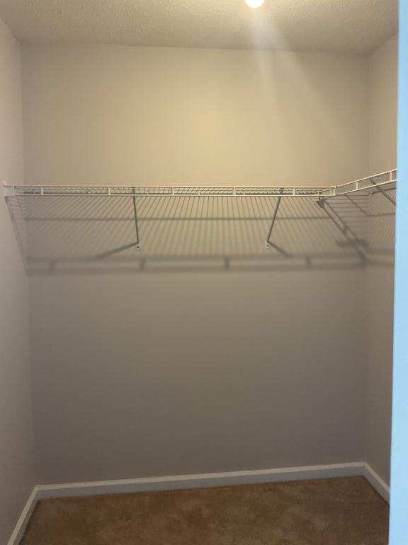 Building Photo - 347 Thistle Ln