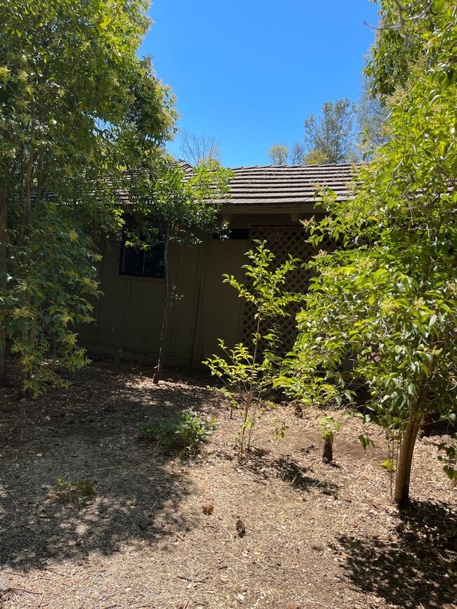 Building Photo - Cozy and convenient, private location, Cot...