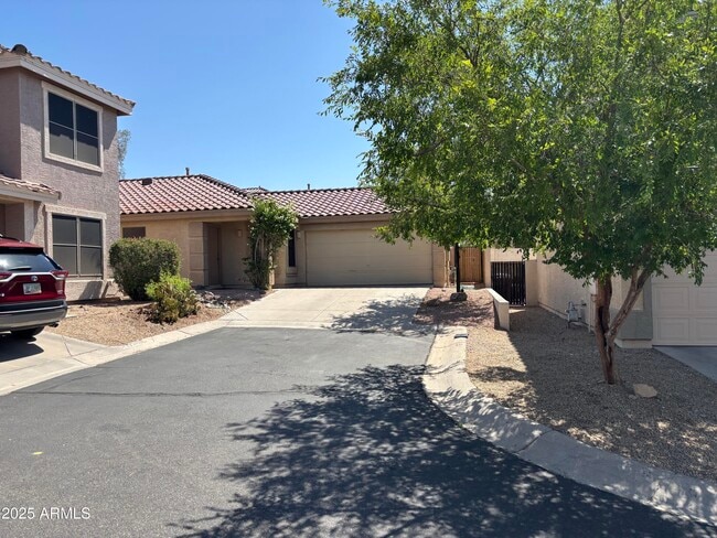 Building Photo - 1722 W Amberwood Dr