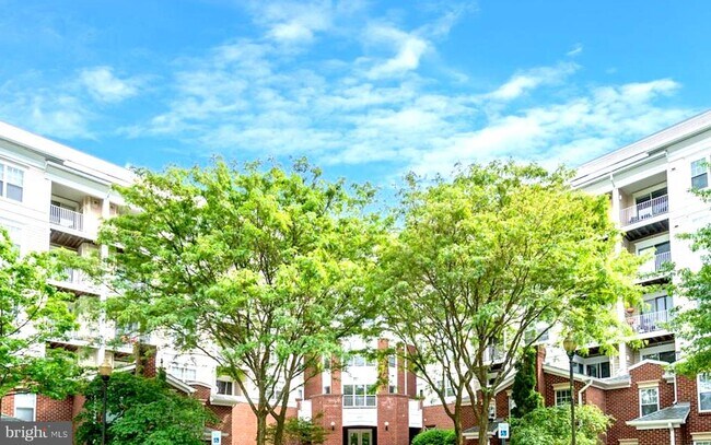 Primary Photo - 1645 International Dr
