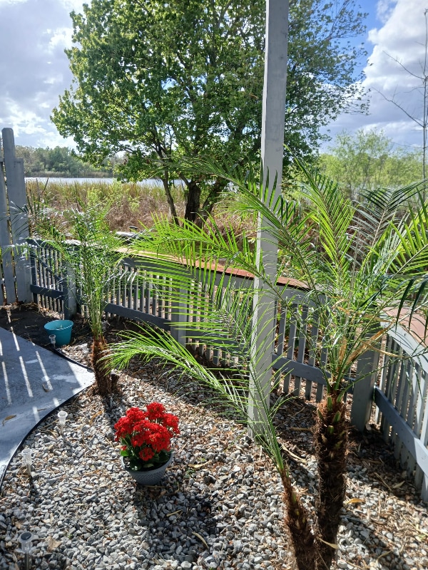 Building Photo - 4308 Aqua Vista Dr