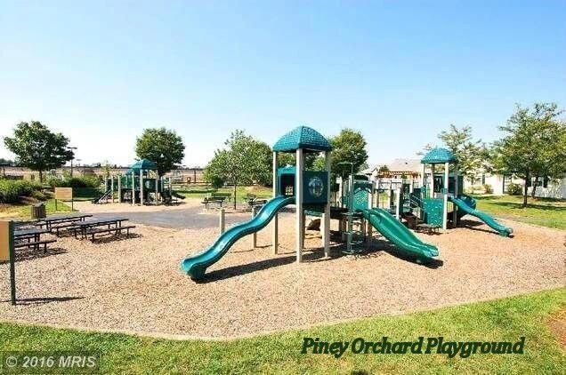 Building Photo - 8534 Pine Meadows Dr