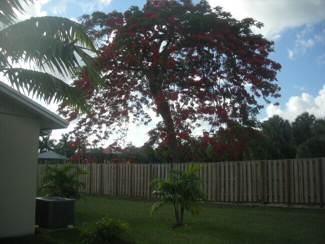 Backyard - 11701 SW 108th Ln