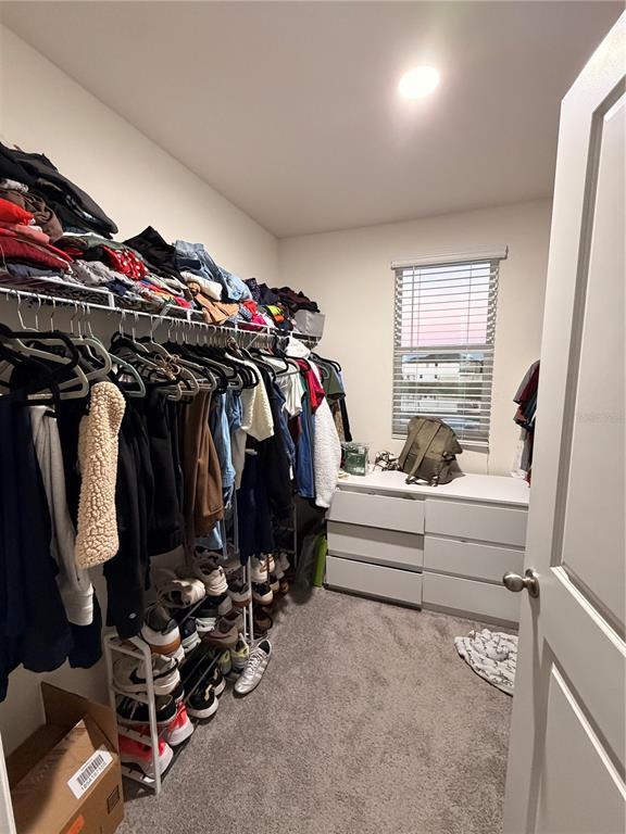 Building Photo - 404 Preston Cv Dr