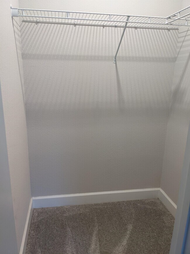 Building Photo - 25 Ibiza Ct